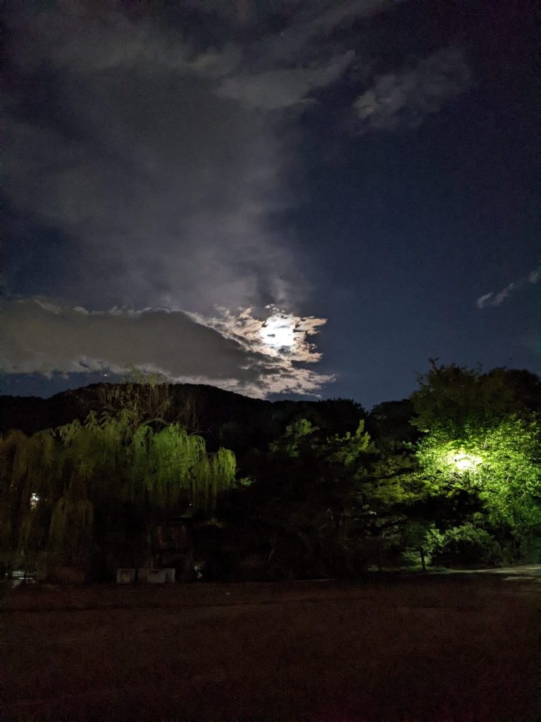 円山公園の十五夜（曇り）